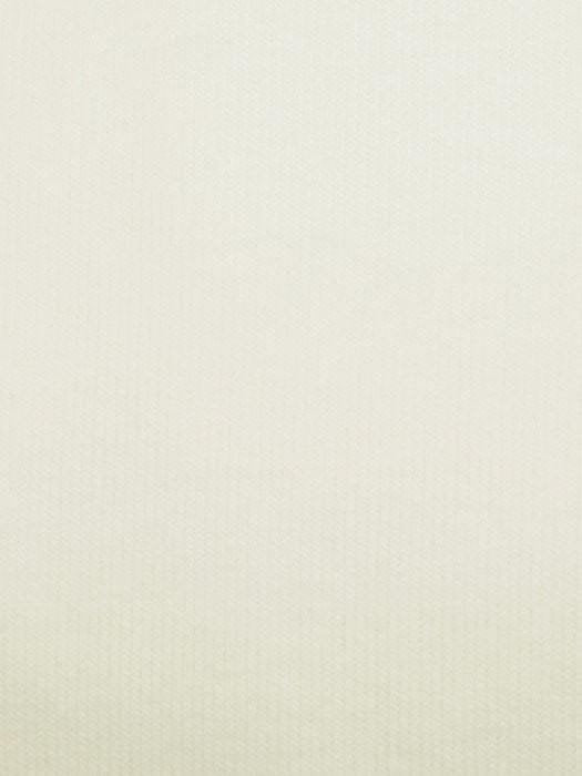 Cotton Wig Liner/Cap - CREAM image