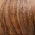 Pumpkin Pie Spice Rooted