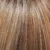 fs26/31 caramel syrup